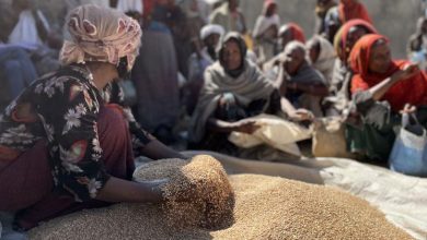 WFP suspends food distribution in Ethiopia following ‘critical shortage’ of aid