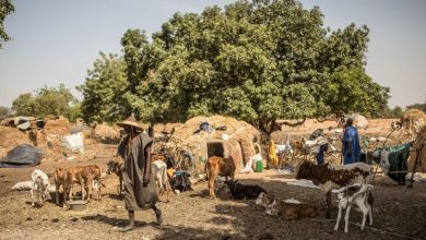 Moura: More than 500 killed by Malian soldiers, foreign military personnel in operation 2022