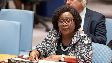 The security situation in the Sahel remains very worrying, the Security Council warned