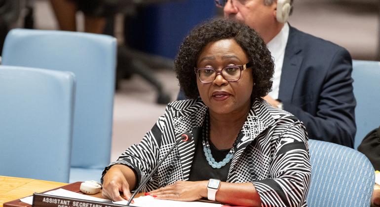 The security situation in the Sahel remains very worrying, the Security Council warned The security situation in the Sahel remains very worrying, the Security Council warned