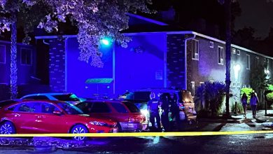 Girl killed, 5 injured after shooting at party in US ‘California |  World news