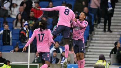 Everton Stun Brighton To Move Out Of Relegation Zone