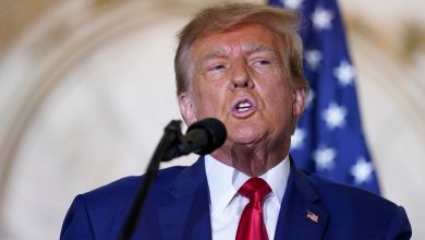 Donald Trump sexually assaulted the writer E Jean Carroll, US legal jury in the civil trial |  World news