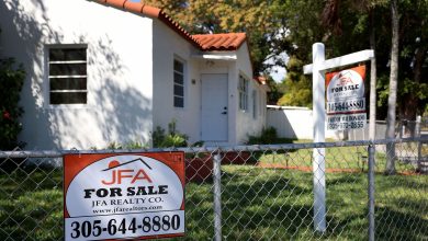 Looking for the perfect home?  Explore the Top 10 cities to live in the USA |  World news