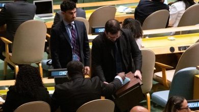 UN Security Council to welcome five new non-permanent members