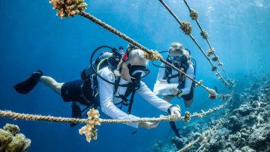 From the field: Promoting ocean literacy