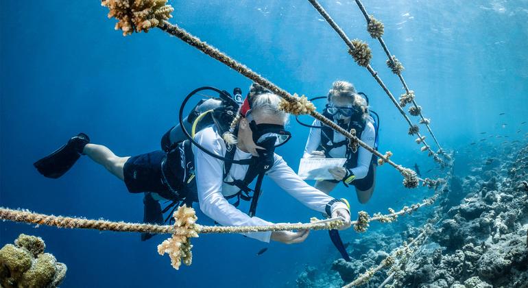 From the field: Promoting ocean literacy