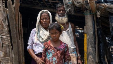 Bangladesh must stop plans to return Rohingya refugees to Myanmar: rights expert