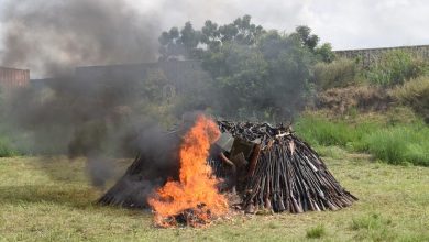Trafficking in the Sahel: Muzzling the illicit arms trade
