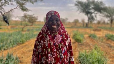 Combating drought, one garden at a time