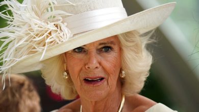Royal experts reveal why Prince Harry “couldn’t get a response” from Queen Camilla |  World news
