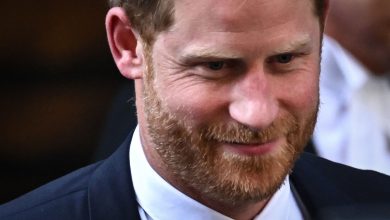 Did Prince Harry manipulate Queen Elizabeth’s grandmother with ‘arrangements’?  You feel… |  World news