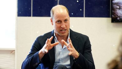 Prince William used his Cornwall estate for public housing to end homelessness  World news