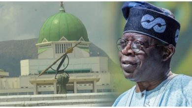 Senate Approves Tinubu’s Appointment Of 20 Special Advisers