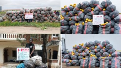 NDLEA Intercepts 5,344kg Imported Skunk Consignments In Lekki, Lagos