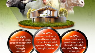 Adron Homes Ileya Repete Promo: Convert Your Chances of Owning A Home