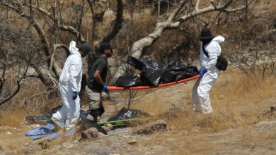 Mexico Police Find 45 Bags With Human Body Parts In Ravine