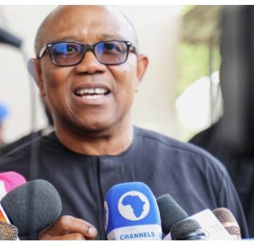 I Would Have Removed Fuel Subsidy In A Different Way -Peter Obi