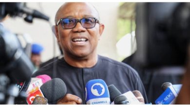 I Would Have Removed Fuel Subsidy In A Different Way -Peter Obi