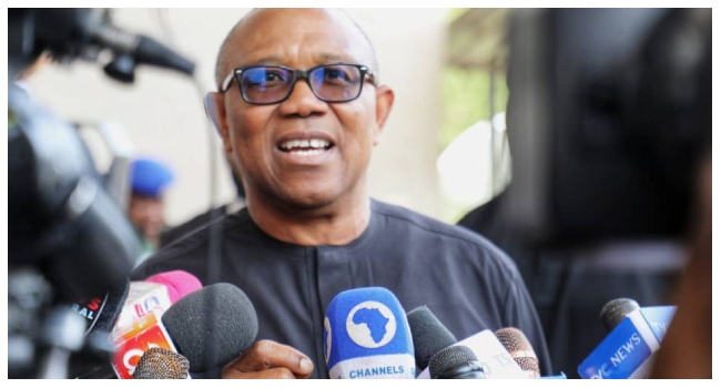 I Would Have Removed Fuel Subsidy In A Different Way -Peter Obi