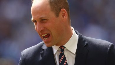 When Prince William secretly delivered food during Covid: ‘With a mask on, he…’ |  World news