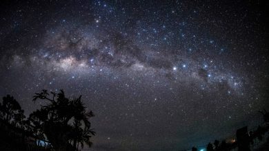 ‘A stranger in my backyard’, a Las Vegas resident who left a stranger on camera  World news