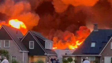 Video: Fire engulfs several buildings in the Netherlands  World news