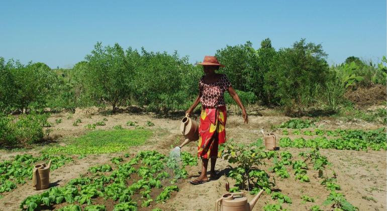 From seeds to solar energy in Madagascar: a UN President’s blog