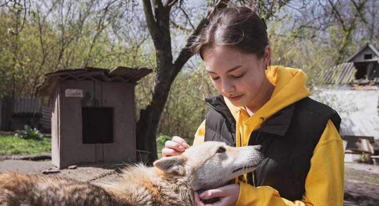 From the field: Finding sanctuary for animals in Ukraine