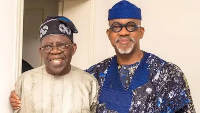 PEPT: Gov Abiodun Celebrates Tinubu, Shettima’s Victory