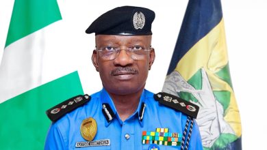 IGP Orders Swift Operation To Curb Ogun Cult Killings