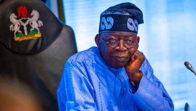 Tribunal: Tinubu Not Worried, Sees No Need To Threaten Judges, Says Presidency