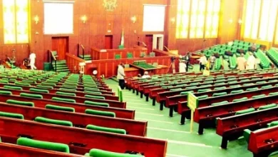 Reps Ask IGP To Probe Killings Of Pregnant Woman, Tricyclist In Lagos