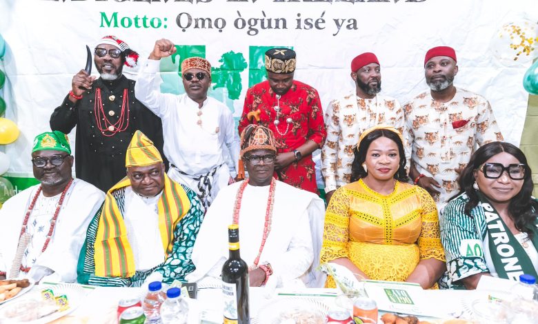 Photos: Glitz, Glamour As Olu of Ilaro, Nigerian Ambassador in Dublin, Aare Akinbode, Others Grace Ogun Day ’23 In Dublin