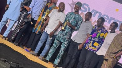 Young Journalist Of The Year Award: Synergy Interlink Network Honours Saheed Adeola