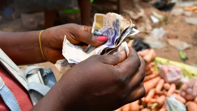 Naira Scarcity: FG Not Deliberately Stifling Nigerians, Says Minister