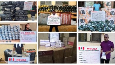 NDLEA Uncovers Illicit Drugs Concealed In Dolls, Local Soap, Tins