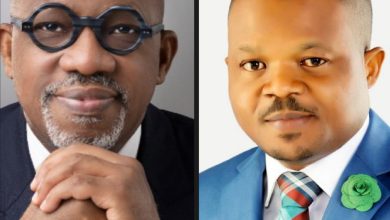 New Year Celebration: APC Topshot, Armstrong Akintunde Preaches Peace, Harmony