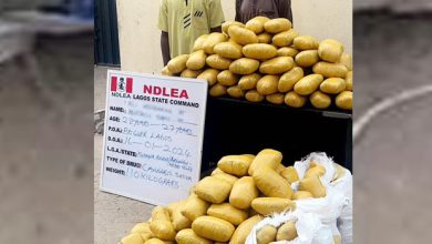 NDLEA Intercepts 1,274 Parcels Of Cocaine, Arms In Lagos