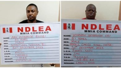 NDLEA Arrests Qatar-Based Businessman With Psychoactive Substances