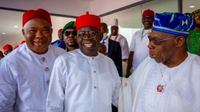 Don’t Worry About ‘Japa’, Nigeria Will Train More People — Tinubu