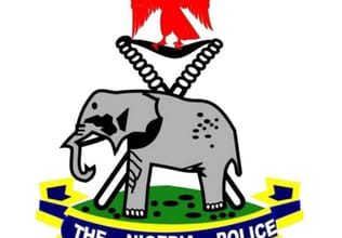 NPF Orders Arrest of Same Sex Marriage, Unnatural Offences  Culprits