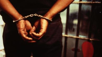 Navy Arrests Retired Soldier With 400kg Hemp In Kogi