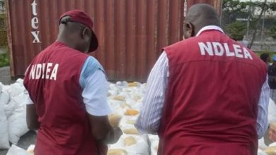 NDLEA Arrests Insurgents’ Drug Supplier, Intercepts 7.6 Tons of Illicit Drugs