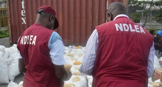 NDLEA Arrests Insurgents’ Drug Supplier, Intercepts 7.6 Tons of Illicit Drugs