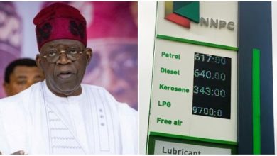 Tinubu Should Have Waited Six Months To Remove Petrol Subsidy – Prof Sagay