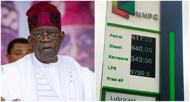 Tinubu Should Have Waited Six Months To Remove Petrol Subsidy – Prof Sagay