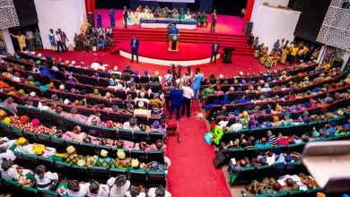 Ogun To Begin Sales of 100 Trucks Load of Rice At Cheaper Rates  -Abiodun