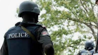 Police Nab Two ‘one-chance’ Robbers In Ogun