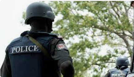 Police Nab Two ‘one-chance’ Robbers In Ogun